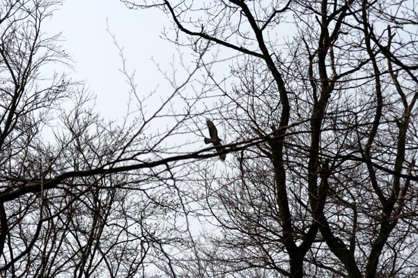 Killikus&reg; Fotographie